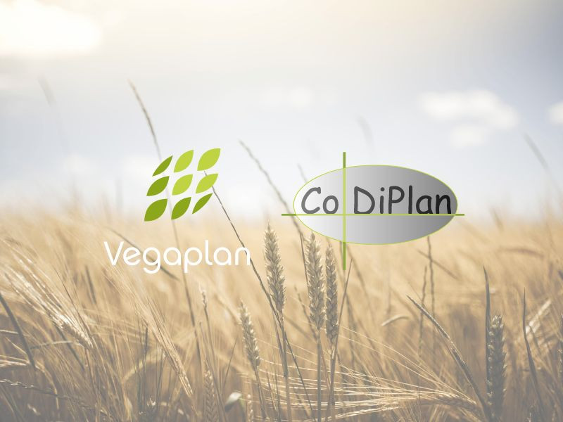 Vegaplan et Codiplan